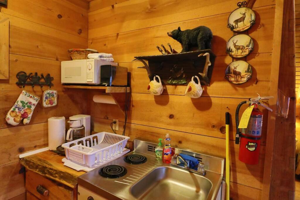 Cozy Cabin W/ Fireplace 3 Minutes To Helen! #2. Luaran gambar