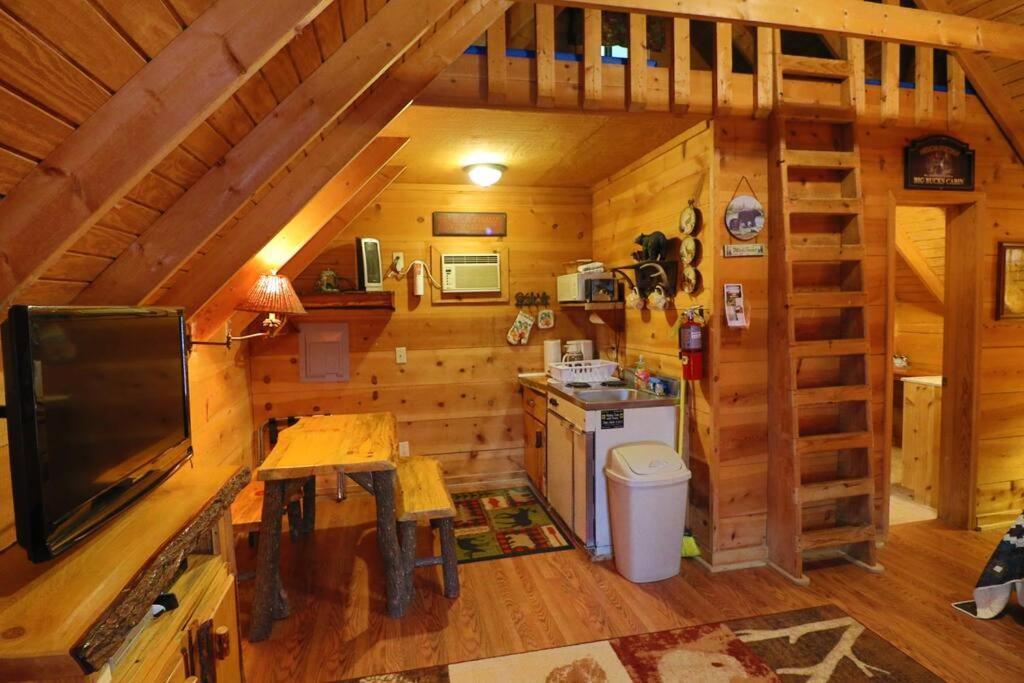 Cozy Cabin W/ Fireplace 3 Minutes To Helen! #2. Luaran gambar